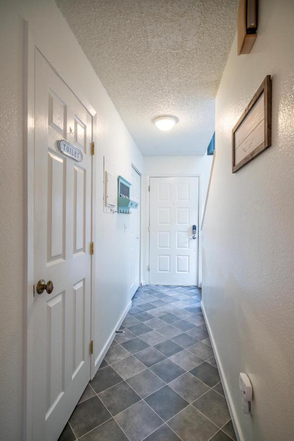 Apartment Polar Bear Den *